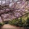 El Jardín de La Concepción. Un trozo del paraiso en el paraiso.