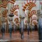La Mezquita de Córdoba. El Bosque de Columnas.