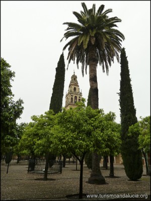 Torre Catedral Mezquita Córdoba