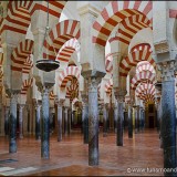 La Mezquita de Córdoba. El Bosque de Columnas.